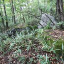 태기목장 이미지