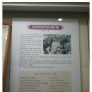 광무목장 이미지