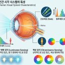8픽셀