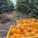 거농농장 이미지