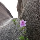 감암산~황매산~모산재를 다녀오다.. 이미지