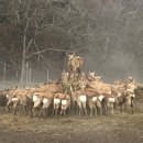 장군목장 이미지