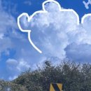 인동중앙로-9 이미지