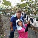 환영농장 이미지