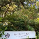 해돋이슈퍼 | [도쿄 여행] 씨월드 5분 바다뷰 료칸! Kamenoi Hotel 온천·조식·라면·해돋이 완전 정리