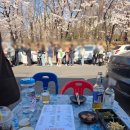 부평공원로 | 인천 부평공원 벚꽃뷰야장, 뚱이네포차 솔직후기