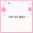 그레이샌즈 풀빌라 이미지