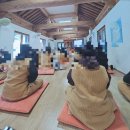 달집과자 | 용인 법륜사 새해맞이 템플스테이 예약 후기, 1일차 새해카운트다운과 소원적기