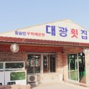 대광기획 이미지
