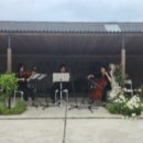 카페 연주 이미지