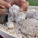 우도사랑민박 이미지