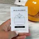 도담스 | 4살 아들과 집에서 달걀 부화하기::빅보울 부화기 내돈내산 솔직후기