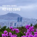 부산 동구 수정산 진달래길 산행 이미지