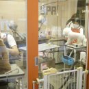 트리밍807 이미지