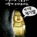 하룻강아지 이미지