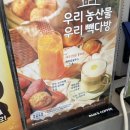 순천 빽다방 대파크림감자라떼