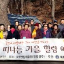 숲으로 떠나는 힐링 여행 이미지
