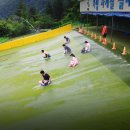 청정사계절썰매장 네이버블로그