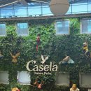 모리스 | 모리셔스 북서부 신혼여행 숙소｜르메르디앙 일레 모리스 Junior Suite 룸 솔직후기❤️