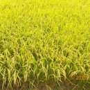 도척농업협동조합 이미지