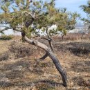 조형주유소 이미지