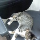 야동목장 이미지