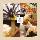 크래버대게나라천안점 이미지