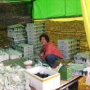 단산농원 이미지