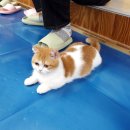 (유)제일환경 이미지