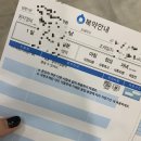 용인 연세속앤마디편한내과의원 108종 알레르기 검사(혈액 검사) 후기