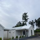 소서제주 7월3일 | 제주도 애견동반 펜션 *꿀잠각*(소서제주 7월 3일)