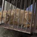 김성광 농장 이미지