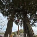 #3 [일본 나가사키 여행] 가볼만한곳, 대표관광지, 평화공원, 그라바엔, 데지마, 시티뷰 숙소, 야경, 시내