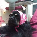 도장중학교 이미지