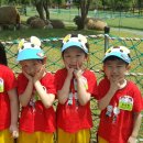 석천목장 이미지