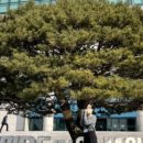 삼성생명휴먼센타주