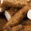 태산농장2 이미지