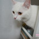 구만가든 이미지