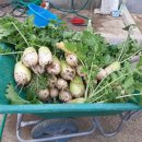 생목주유소 이미지