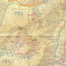 주정차단속-010 이미지