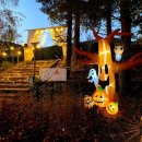 트리앤캠프스토리 이미지