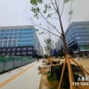 고덕로자벨2 이미지