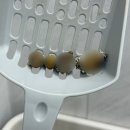 더케어벳 이미지