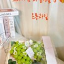 요기과일 이미지
