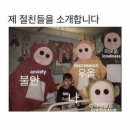 끼리끼리 이미지