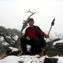 금대리집 이미지