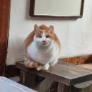 서화식당 이미지