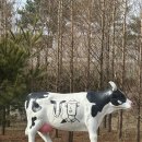 태신목장 | 대전 근교 아이랑 예산 아그로랜드 태신목장 3월 후기 우유농가 브런치