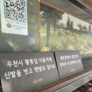 안양천 | 고척돔 바로 앞, 안양천 황톳길 맨발산책 후기