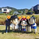 A+춘천시니어복지센터 이미지